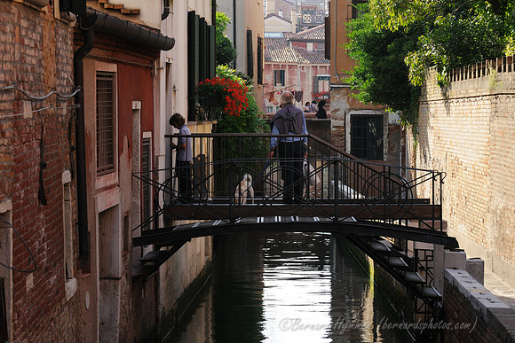D300_44671.jpg