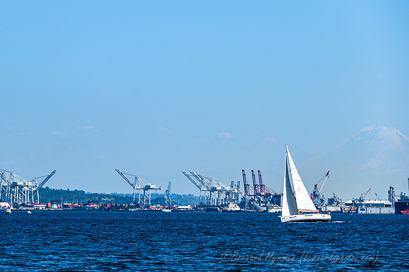 Z6_167204
