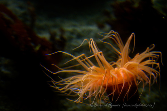 Z6_171811