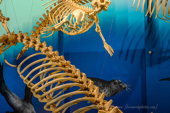 Z6_171751