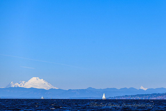 Z6_171292