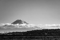 Z6_171259