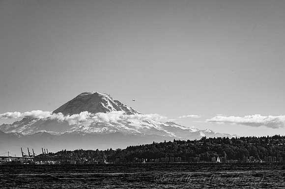 Z6_171259