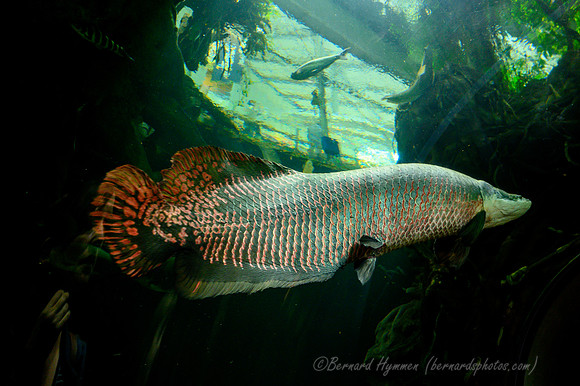 Z6_171870