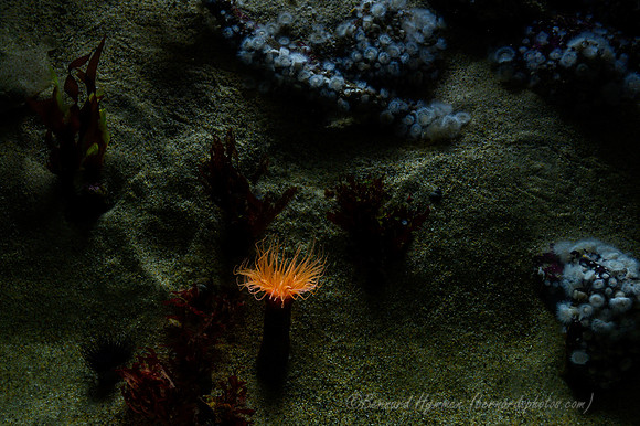 Z6_171808