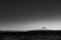 Z6_171271