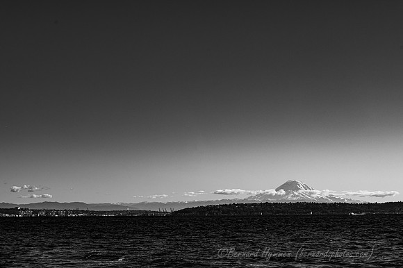 Z6_171271