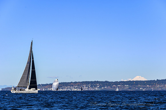 Z6_171239