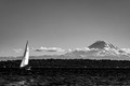 Z6_171280