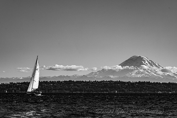 Z6_171280