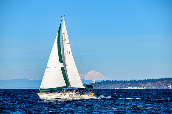 Z6_171344