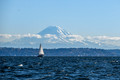 Z6_171295
