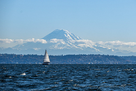 Z6_171295