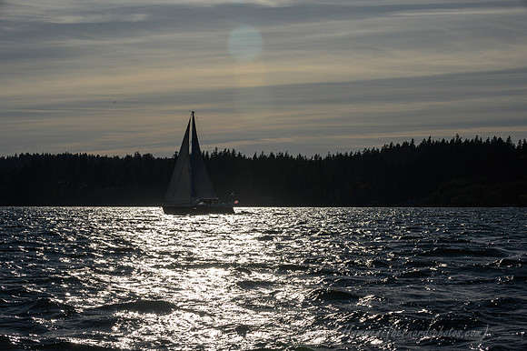 Z6_171363