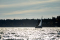 Z6_171291