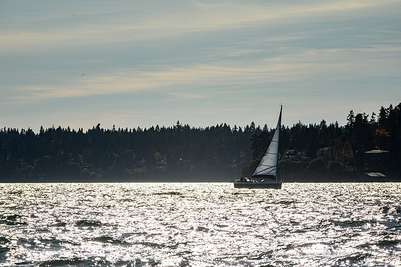 Z6_171291