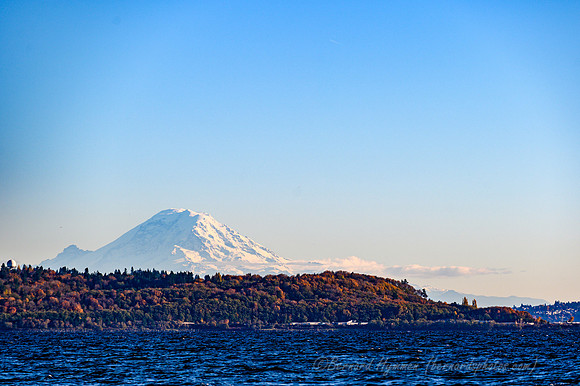 Z6_171387