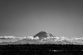 Z6_171274