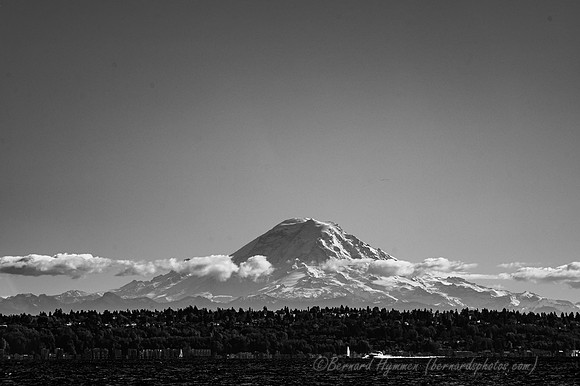 Z6_171274