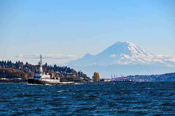 Z6_171339