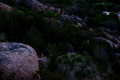 Z6_156317