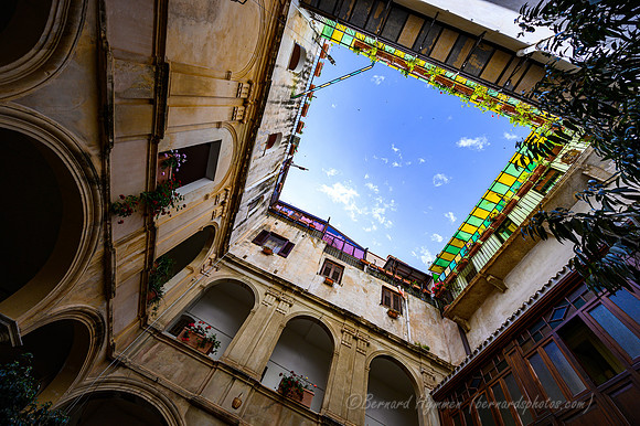 Z6_155419