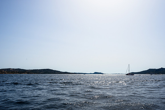 Z6_155801