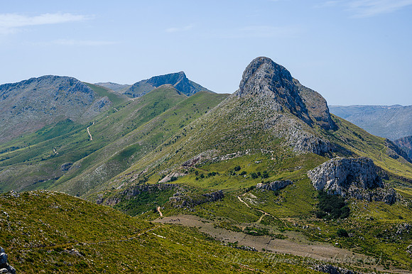 Z6_155351
