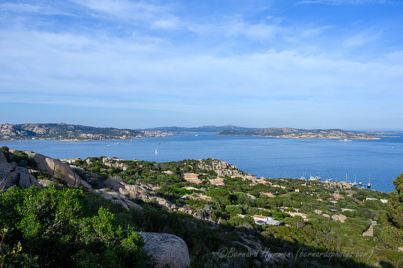 Z6_155681