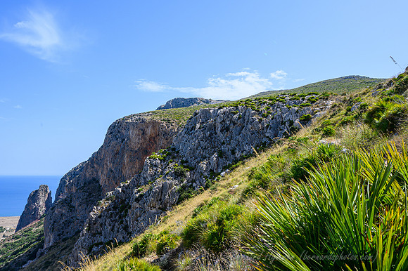 Z6_155317