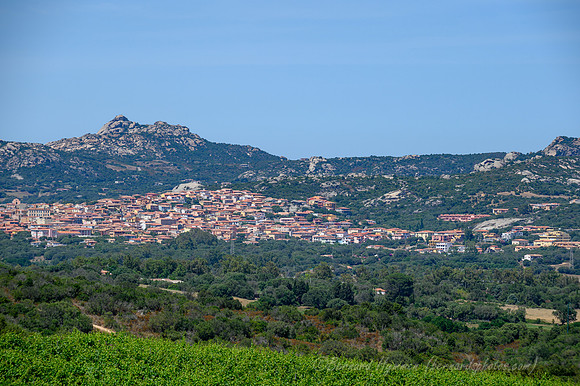 Z6_155764