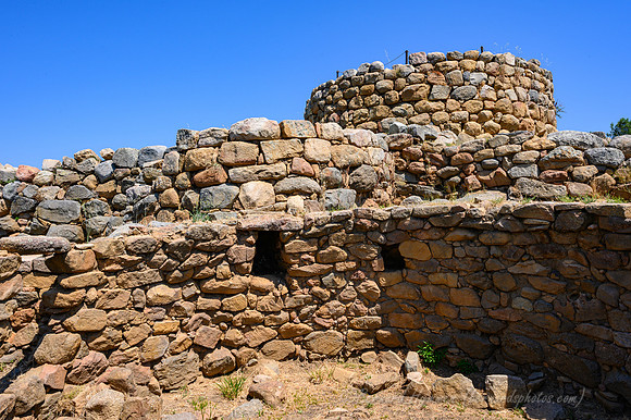Z6_156599