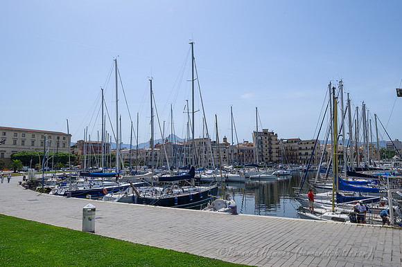 Z6_155594