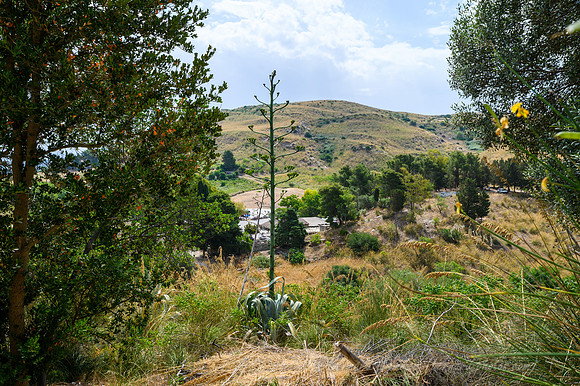 Z6_155511