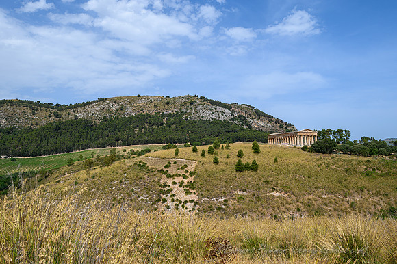 Z6_155526