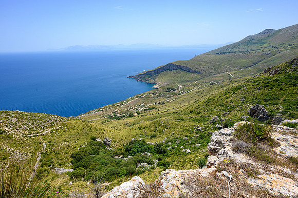 Z6_155390