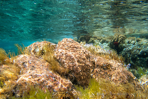 TG-5_159207