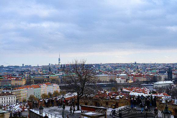 Z6_151348