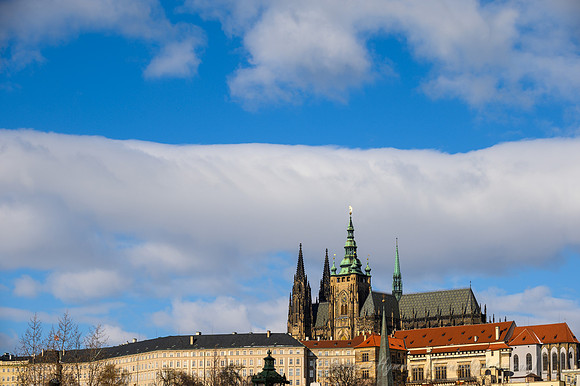 Z6_151445