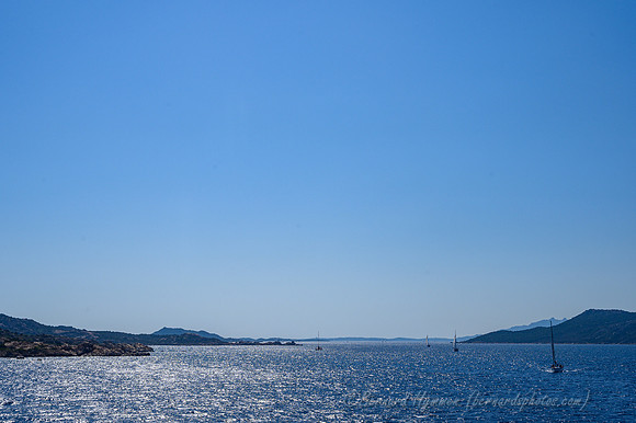 Z6_156397