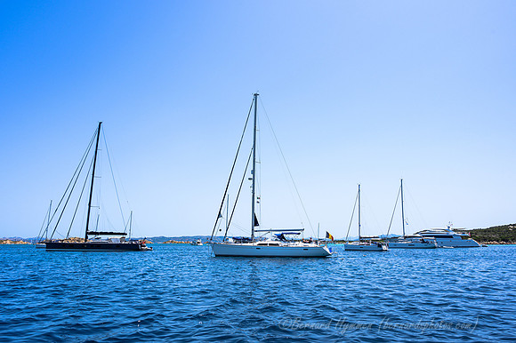 Z6_156009