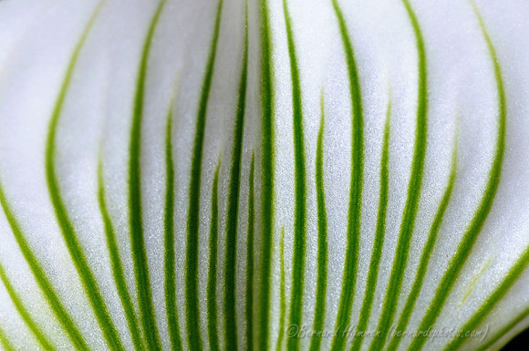 D300_40284
