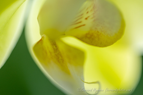 Z6_183364