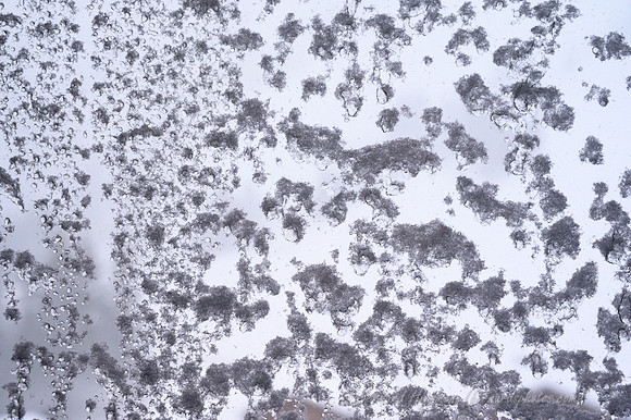 Z6_150398