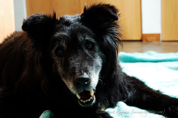 D70_21819.jpg