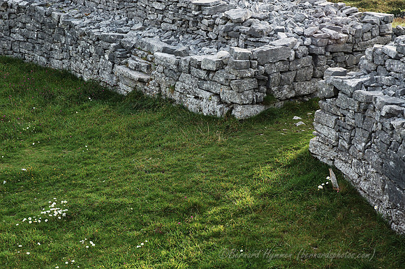 D70_064142004-08-26_01