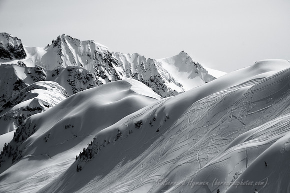 D300_54771
