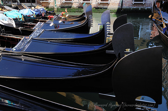 D300_45532.jpg