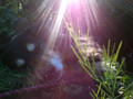 WP_000167