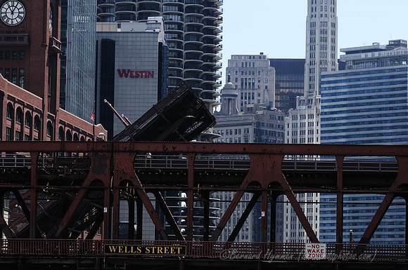 D300_64408